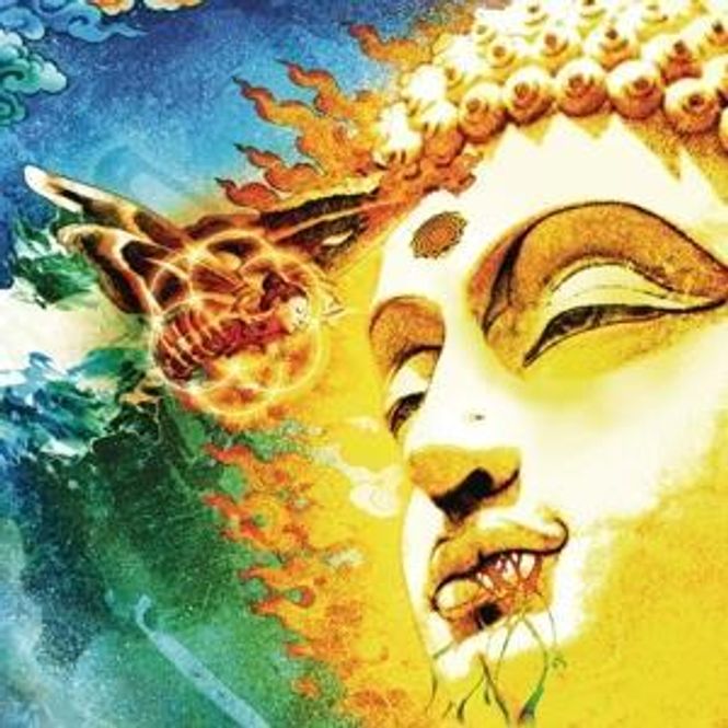 Hovedbilde Gungfly-On Her Journey To the Sun