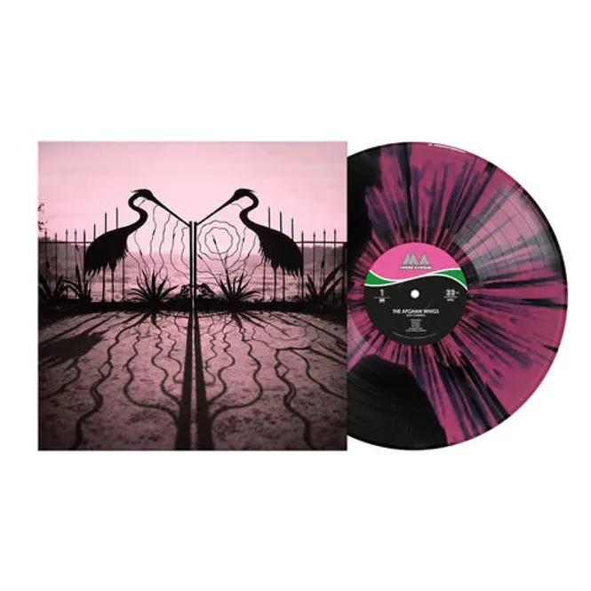 Hovedbilde The Afghan Whigs-SOFT CONTROL(LTD)