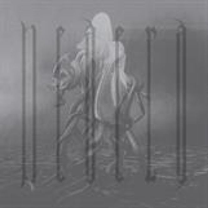 Hovedbilde NEAERA-Neaera(LTD)