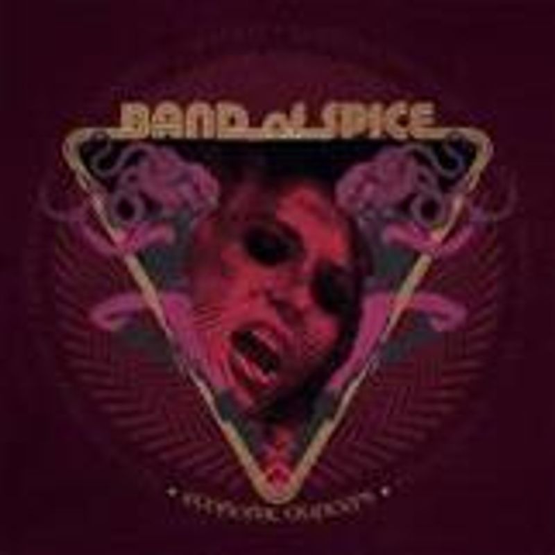 BAND OF SPICE-Economic Dancers(LTD)