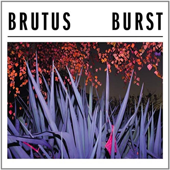 Hovedbilde Brutus-Burst(LTD Splatter)