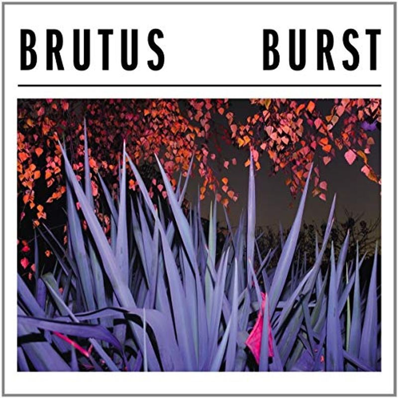 Brutus-Burst(LTD Splatter)